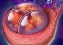 什么时候同房容易福州代怀孕