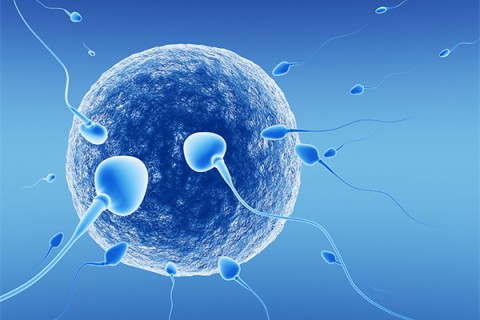 http://fuzhou.quanwangkm.com/post/218.html|福州新闻中心